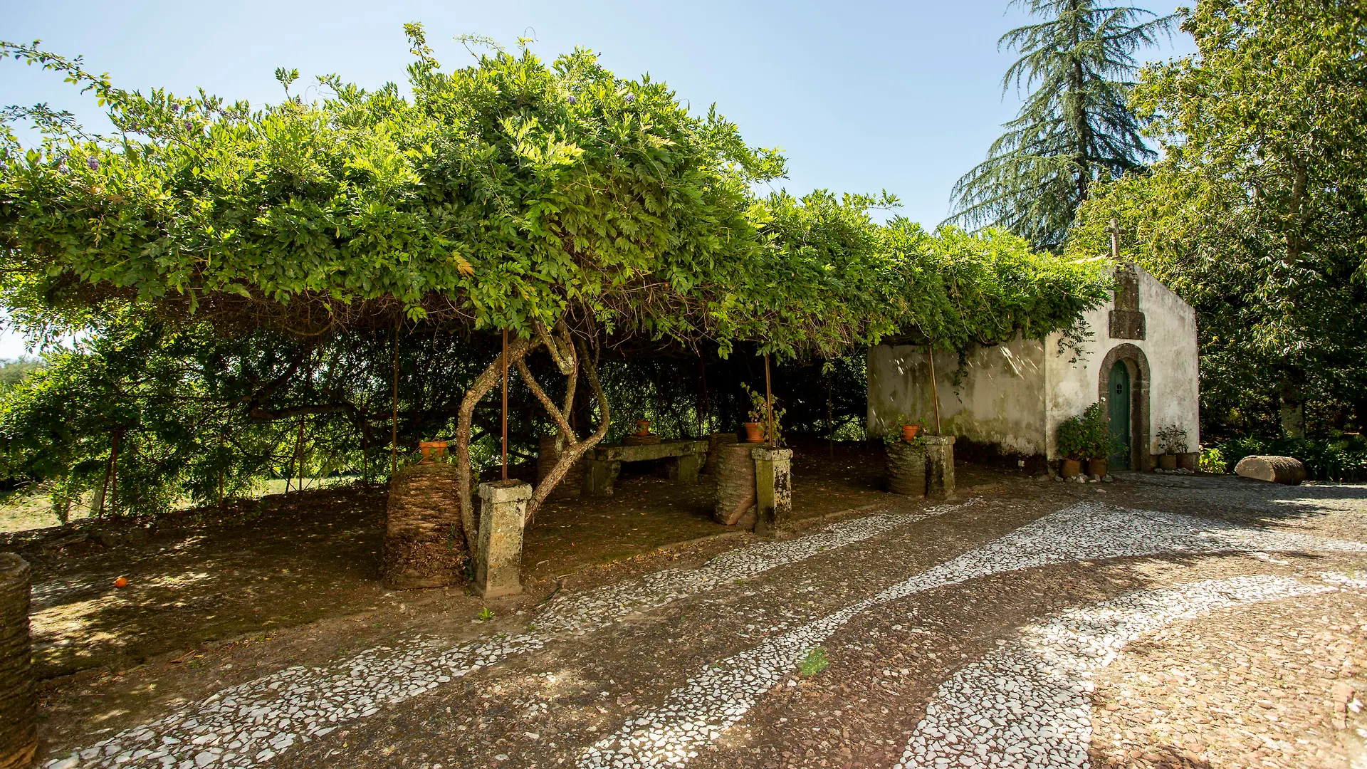 Quinta De Sao Caetano Hotel Viseu